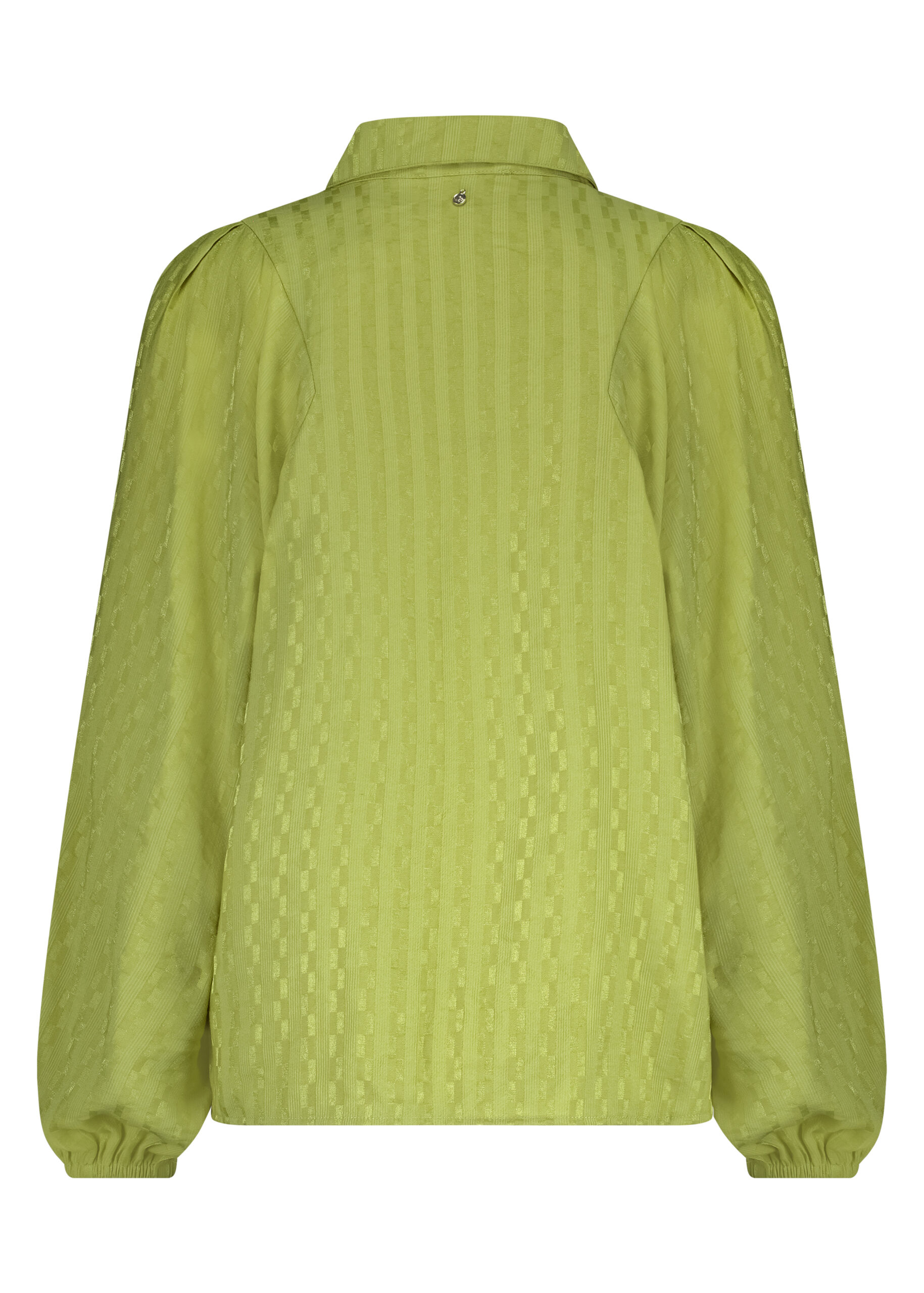 C19-17-301_6007_back